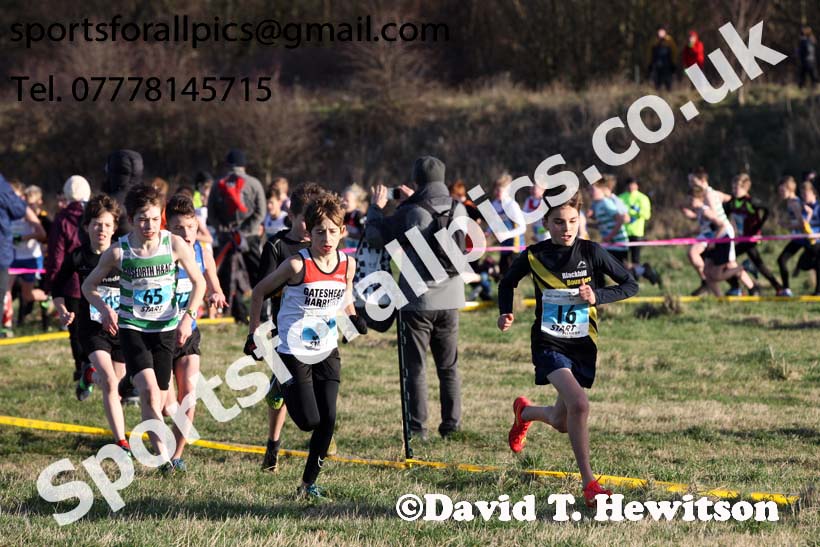 Boys under-13s North Eastern Cross Country, 2018 Northern Cross Country Champs., Wrekenton, Gateshead. Photo:  David T. Hewitson/Sports for All Pics